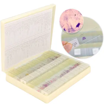100 БР. Части от Човешки Тъкани Секции Хистология, Изготвен Образец на Предметни Стъкла Микроскоп с Пластмасова Кутия