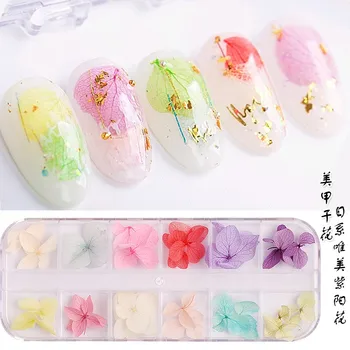 300 цвята Набор от Сухи цветя, 3D Сухо Цвете За Нокти в японски стил Дизайн нокти Смесени Форми на UV-Гел лак За Нокти накрайници Приказно (1 кутия) #1-2