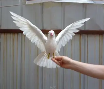 изкуствена птица бели пера на птицата расправляющая крила на гълъб птица 30x45 см, подпори за бродерия, за украса на дома градина подарък p2679